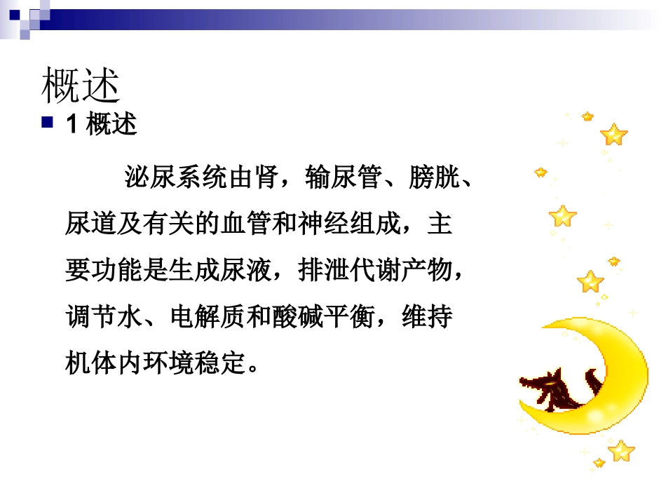 泌尿系统护理_第3页