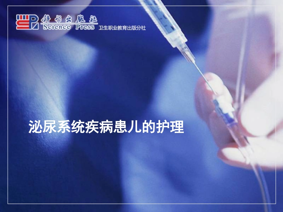 泌尿系统课件_第1页