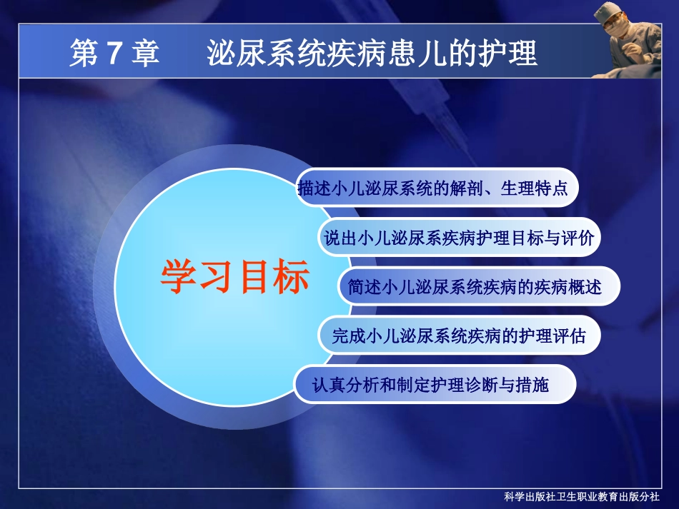 泌尿系统课件_第2页