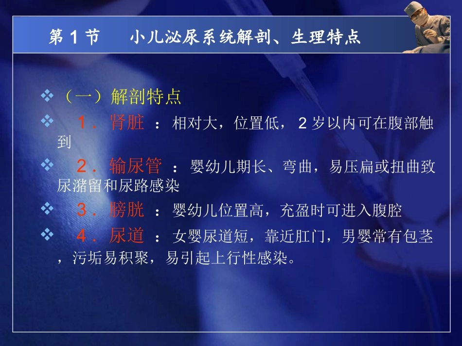 泌尿系统课件_第3页