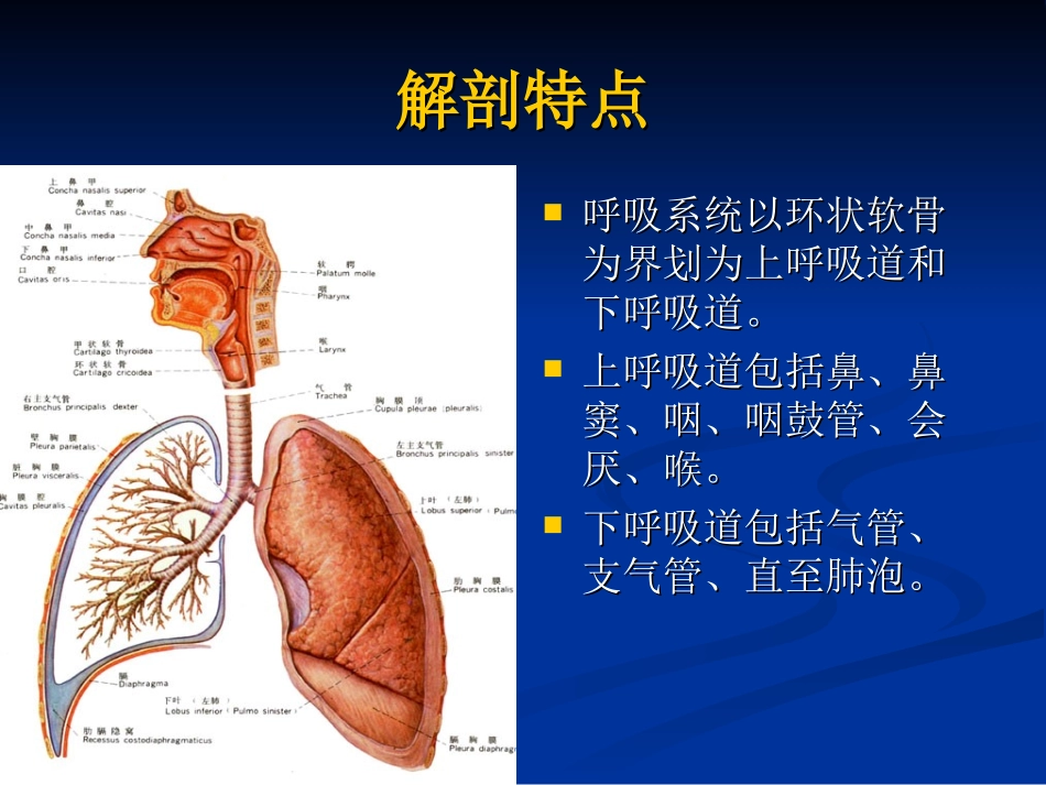气管异物业务查房_第3页