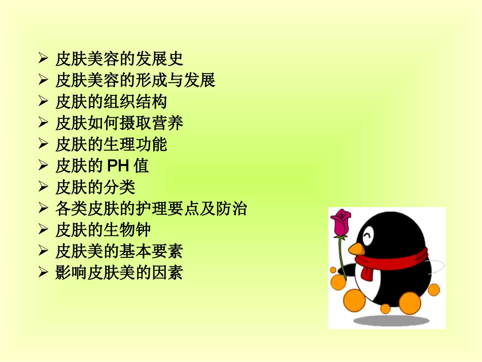 皮肤生理学与皮肤学_第2页