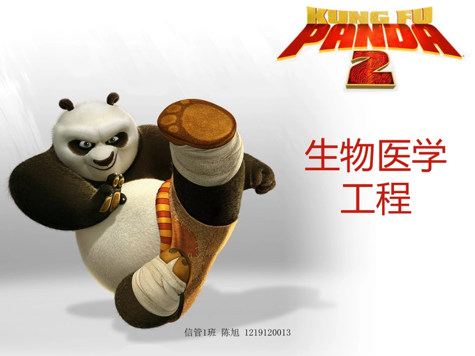 生物医学工程仪器简介_第1页