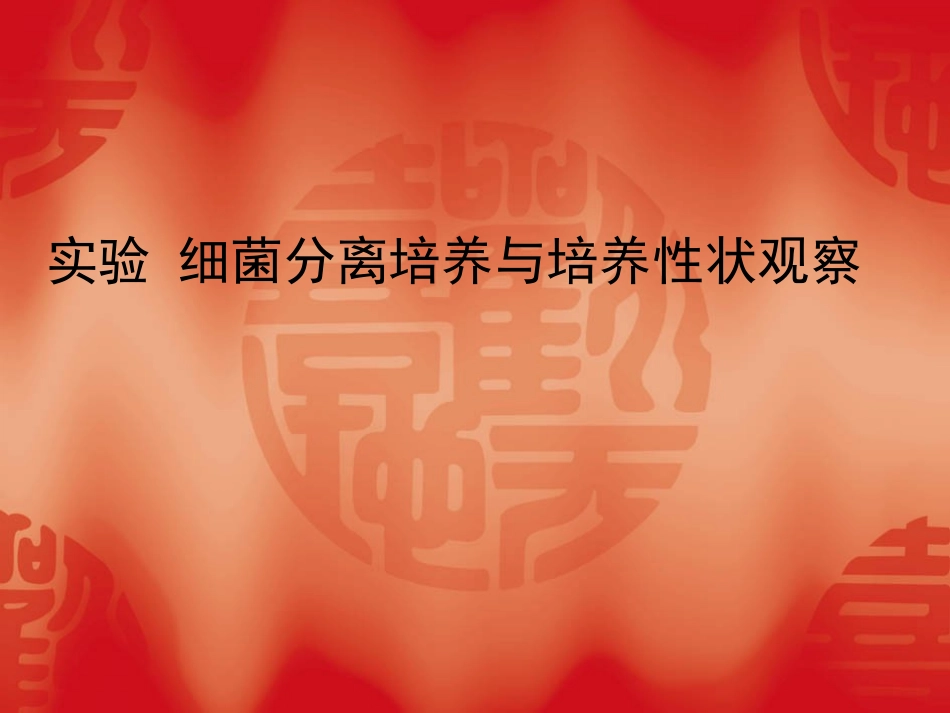 实验 细菌分离培养与培养性状观察_第1页