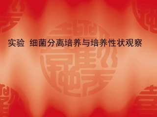 实验 细菌分离培养与培养性状观察