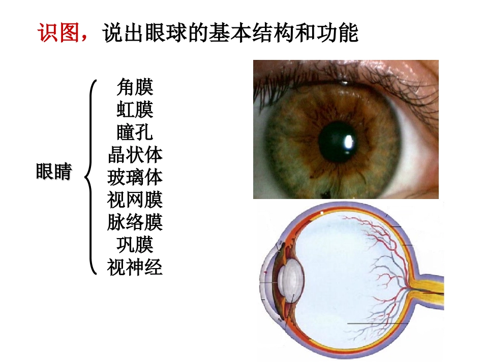 人体生命活动的调节方式包括哪两种_第2页
