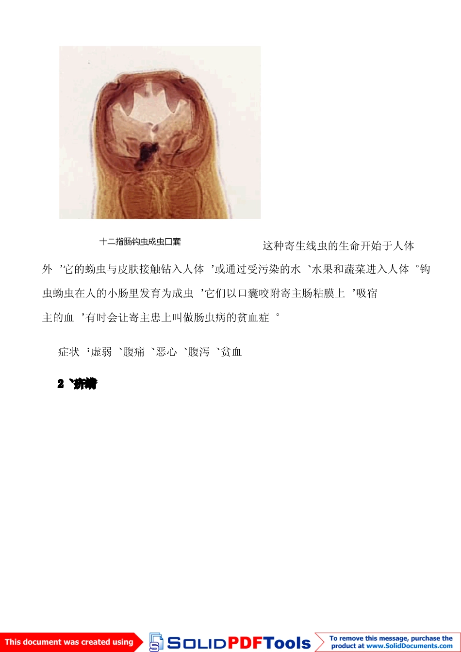 十种最常见的人体寄生虫_第3页