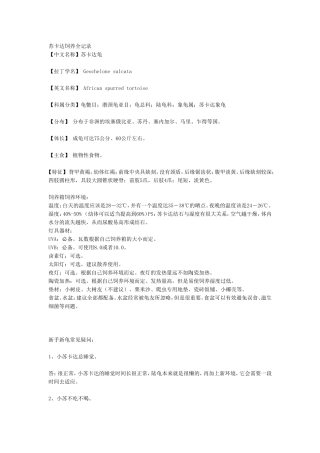 苏卡达饲养秘笈