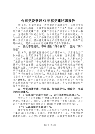 公司党委书记XX年抓党建述职报告