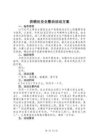 供销社安全整治活动方案