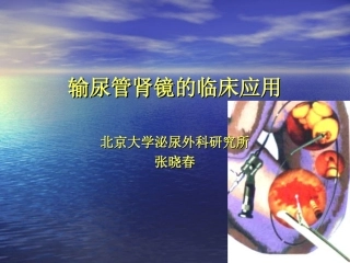 输尿管镜的临床应用