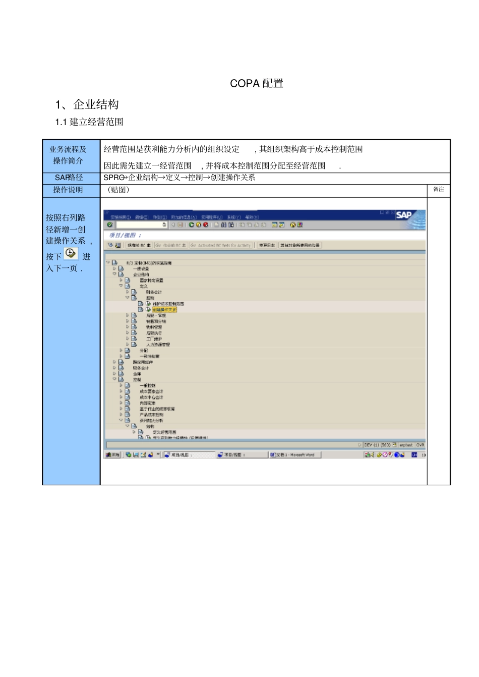 COPA配置解读_第1页