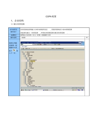 COPA配置解读