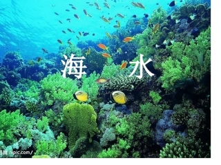 北师版海水课件 (2)