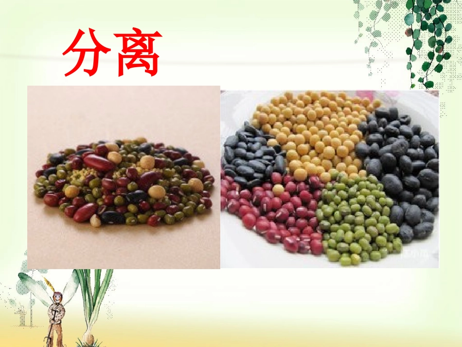 2014除杂课件邢永峰_第2页