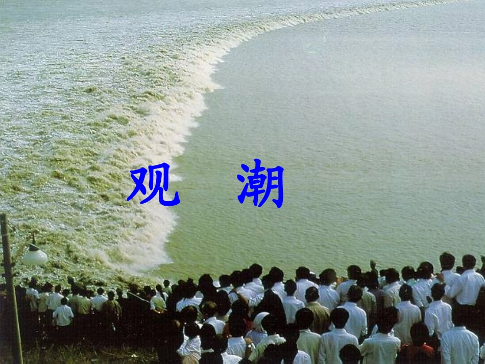 《观潮》参考课件_第1页