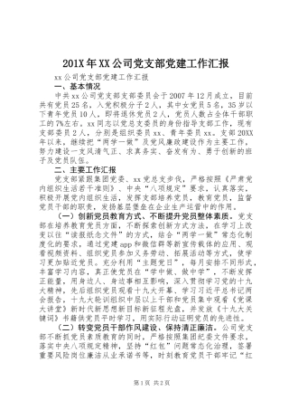 201X年XX公司党支部党建工作汇报