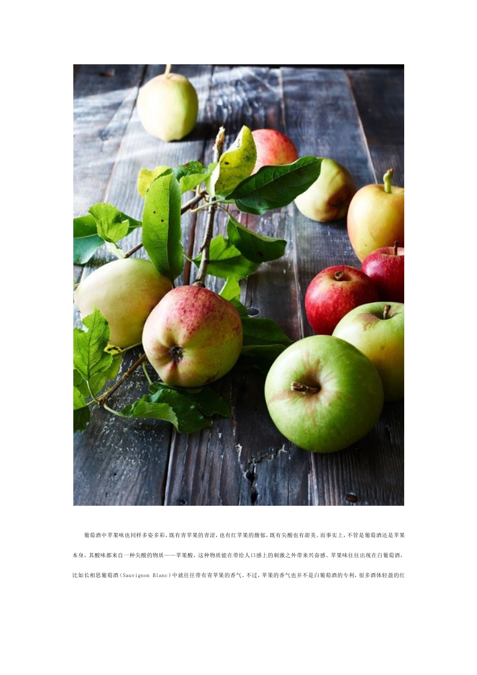 品赏葡萄酒中丰富多彩的苹果味_第2页