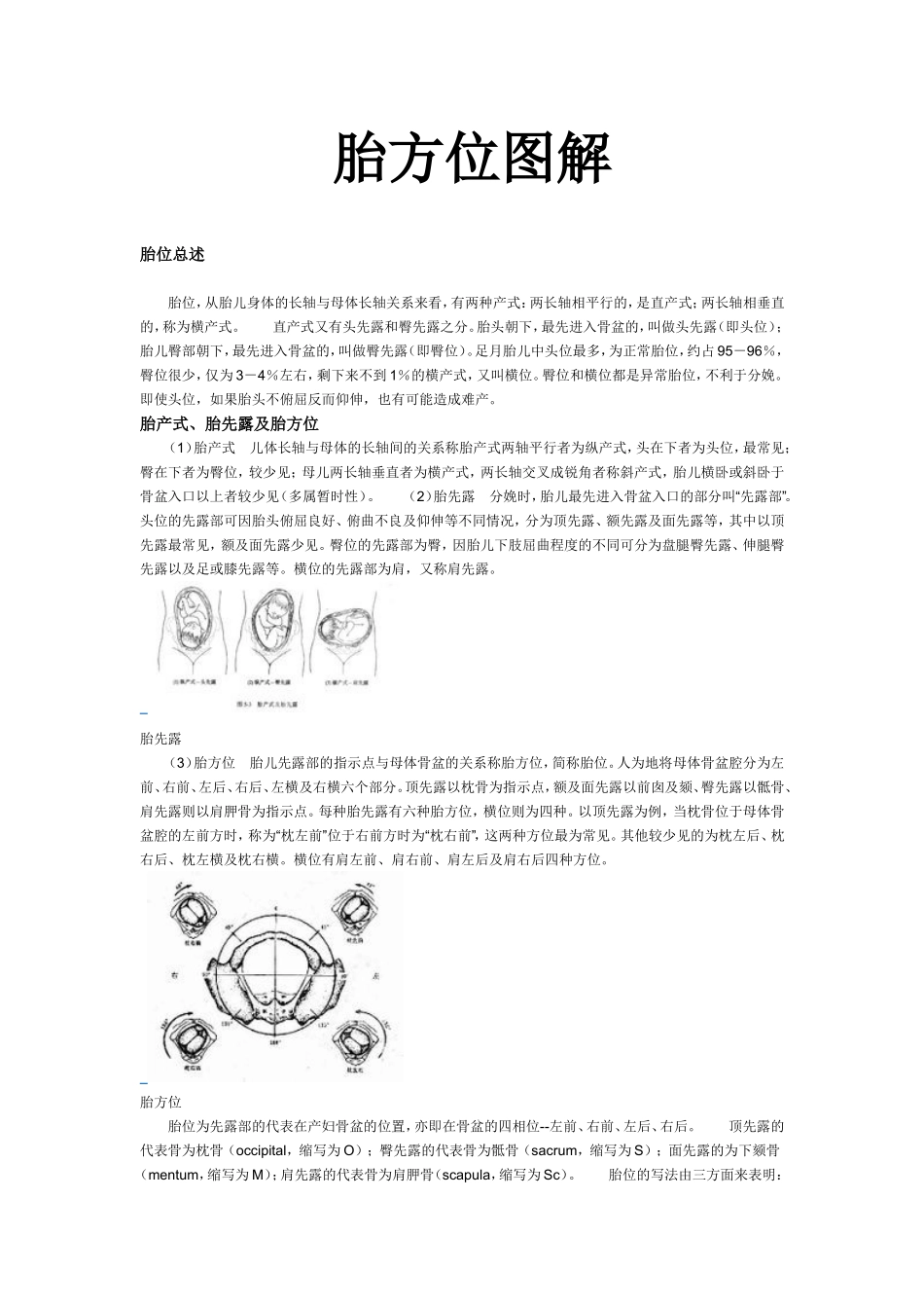 胎方位模型详细图解(2012经典版)_第1页