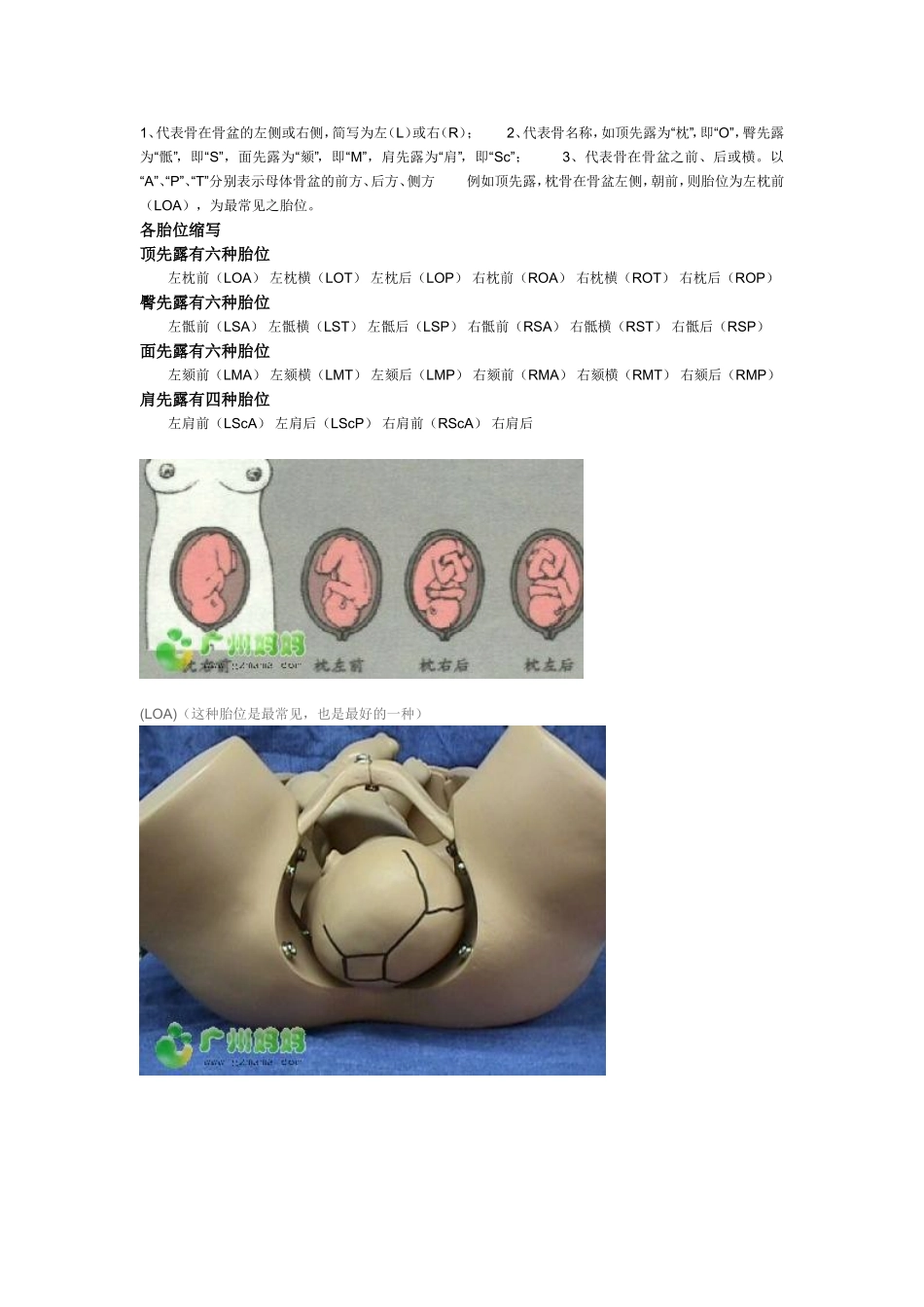 胎方位模型详细图解(2012经典版)_第2页