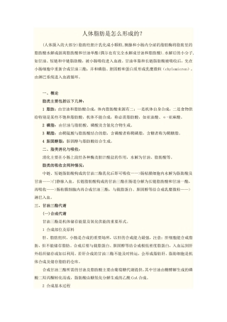 了解人体脂肪是怎么形成的？