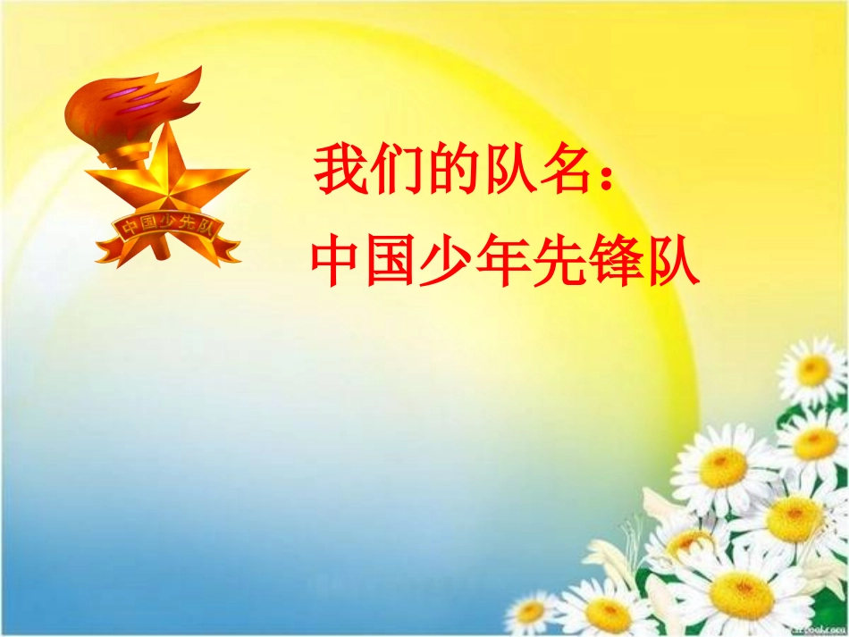 新队员入队前教育_第2页