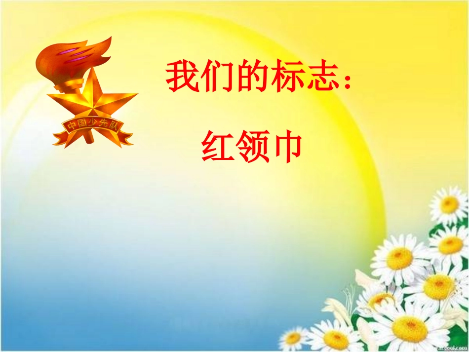新队员入队前教育_第3页