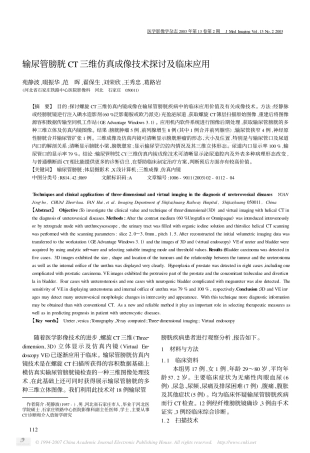输尿管膀胱CT三维仿真成像技术探讨及临床应用