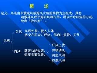 祛风剂.ppt