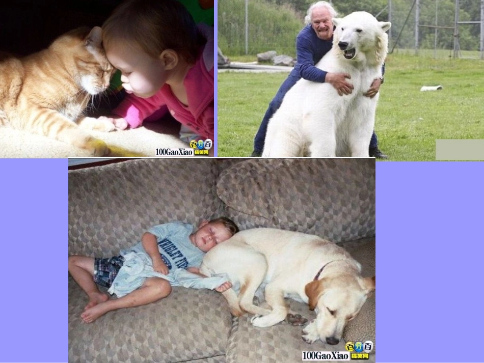 一种熟悉的动物示文稿_第2页