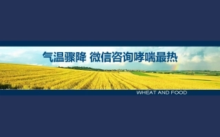 气温骤降 微信咨询哮喘最热