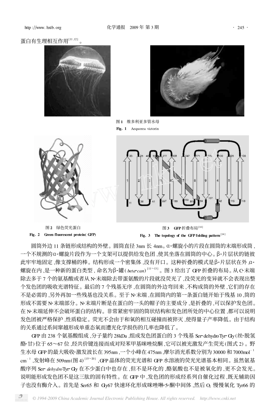 绿色荧光蛋白_第3页