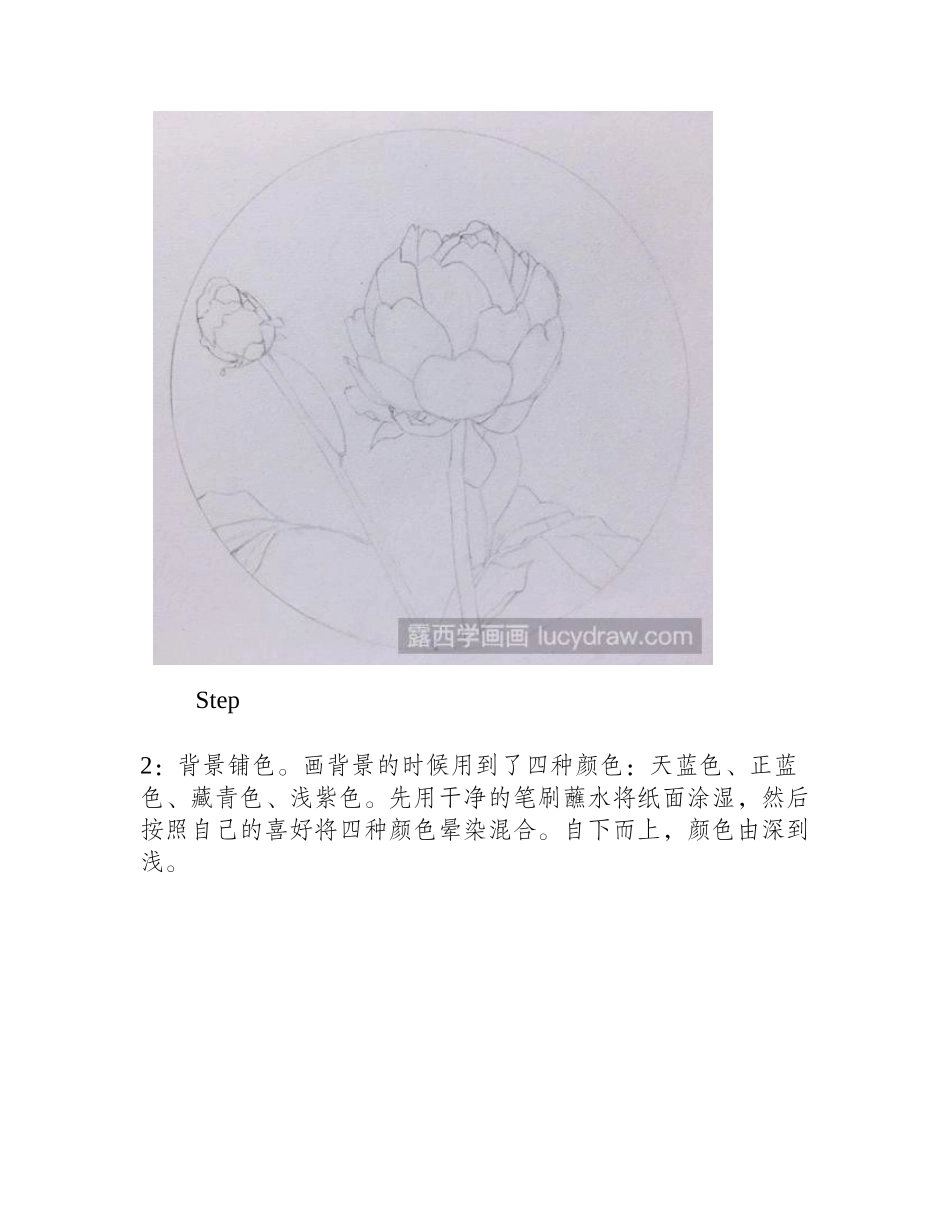 芍药水彩画教程水彩画教程_第2页