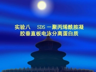 实验八、聚丙烯酰胺凝胶垂直板电泳