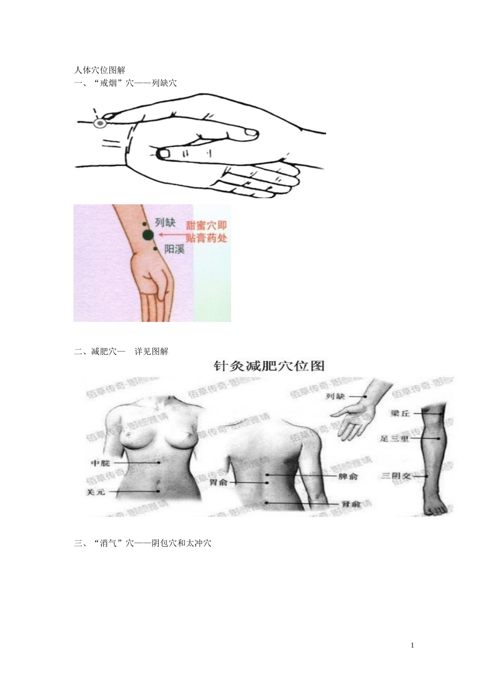 人体穴位图解_第1页
