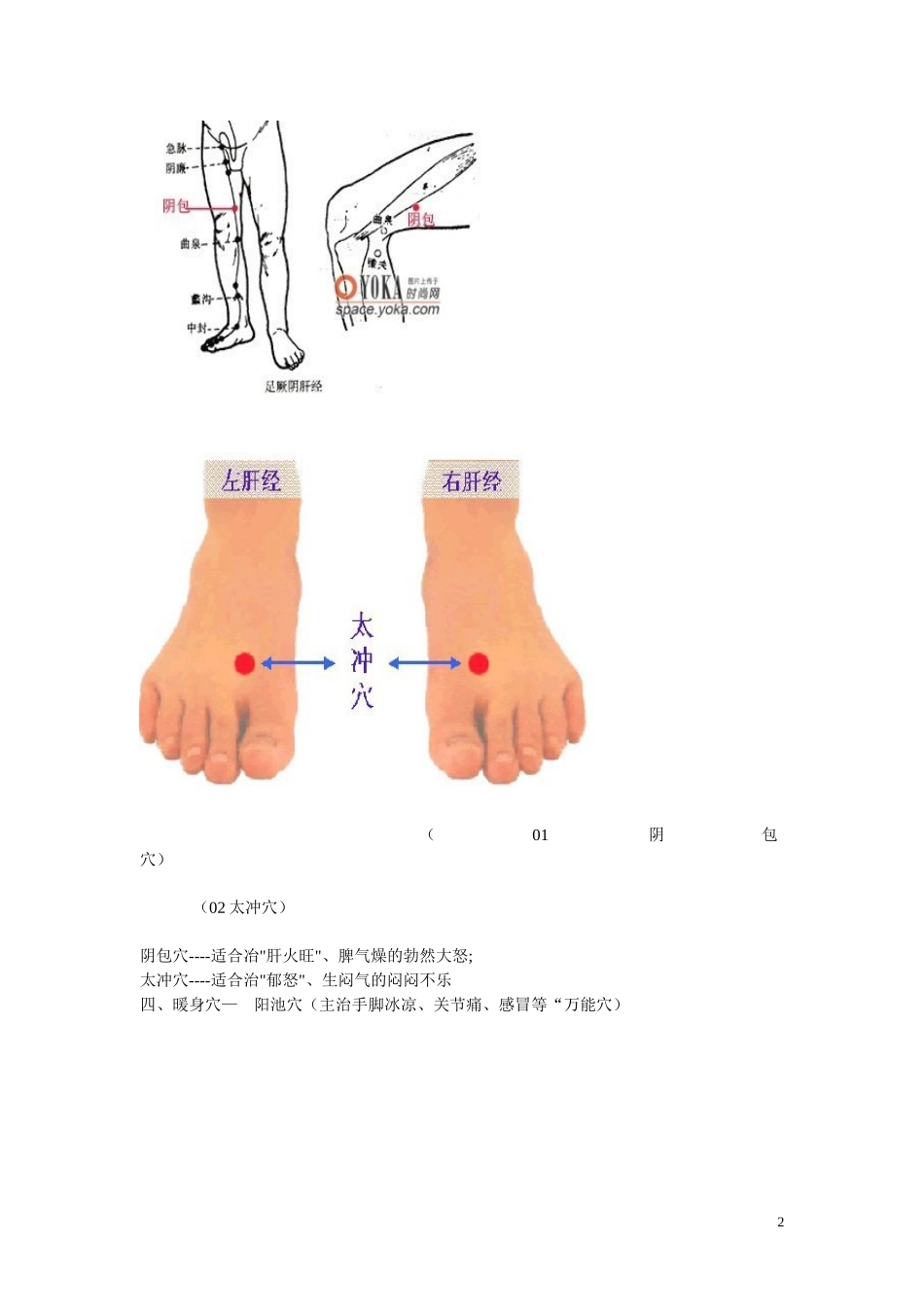 人体穴位图解_第2页