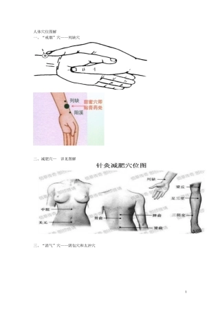 人体穴位图解