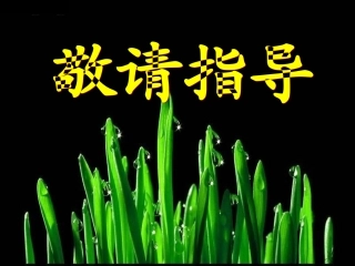 作文指导课横列式构思法