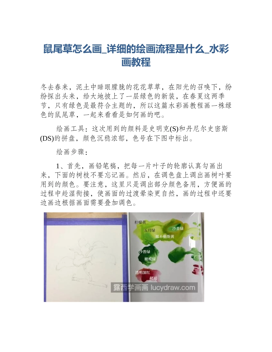 鼠尾草怎么画_详细的绘画流程是什么_水彩画教程_第1页