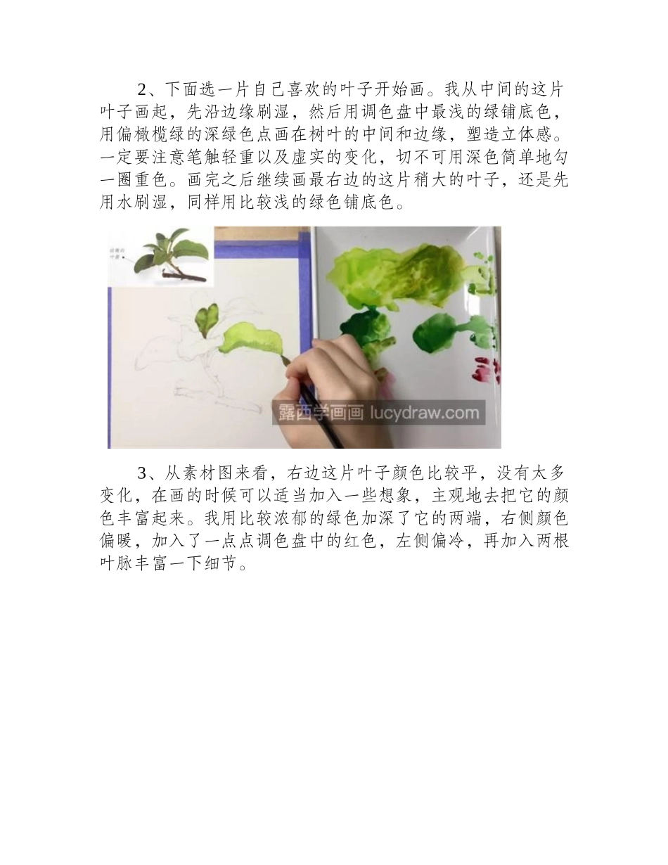 鼠尾草怎么画_详细的绘画流程是什么_水彩画教程_第2页