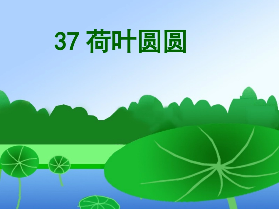 荷叶圆圆课件_第1页