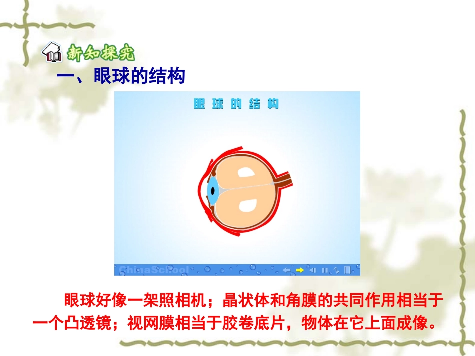 《眼睛和眼镜》教学课件_第2页