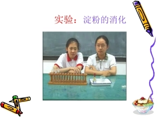 实验：淀粉的消化作用