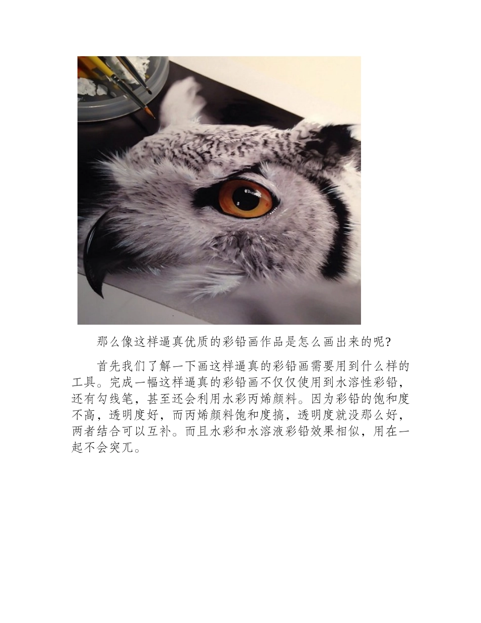 如何画好逼真的彩铅画_彩铅画教程彩铅画教程3_第2页