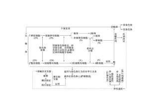 必2伴性遗传