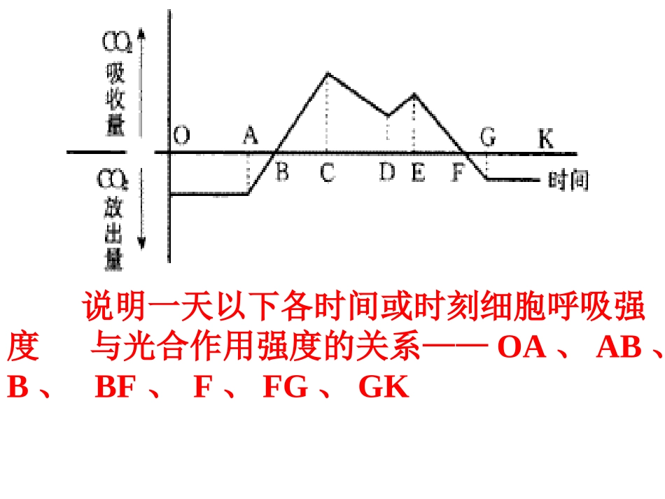 光合气体变化_第2页