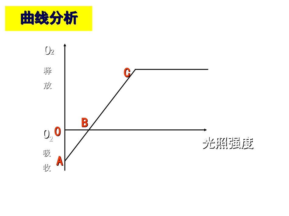 光合气体变化_第3页