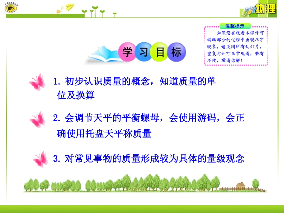 二物体的质量及其测量_第2页