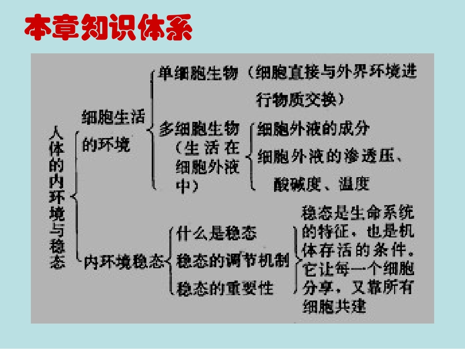 人教版教学教案云南省弥勒县庆来中学2011-2012学年生物必修3 人体的内环境与稳态3(课件)_第2页