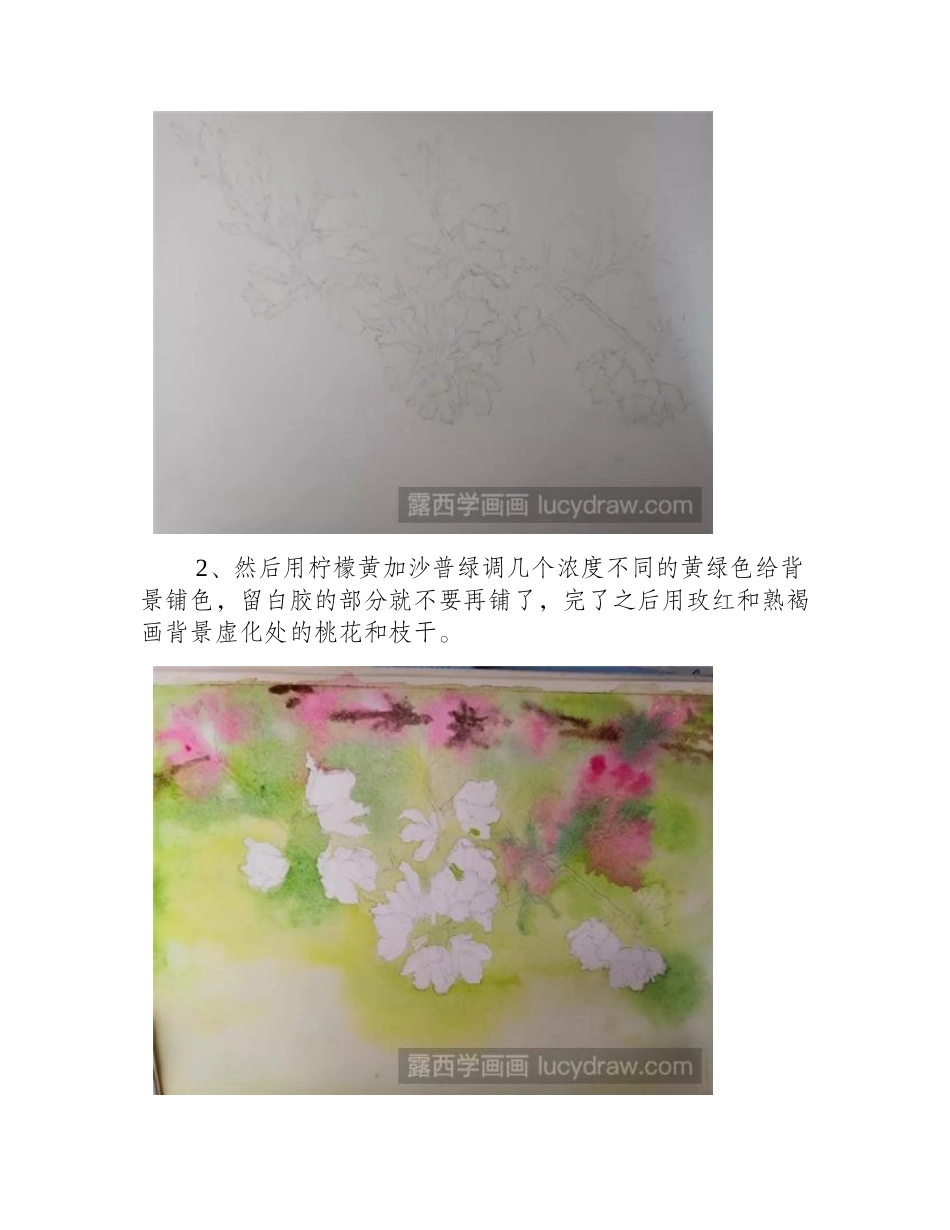 桃花怎么画_水彩桃花小过程详解水彩画教程_第2页